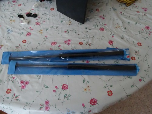Tailgate hatchback strut ram
